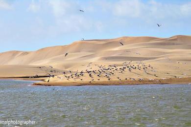 Sandee Plage Tantan Photo