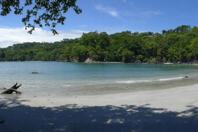 Sandee Playa Biesanz