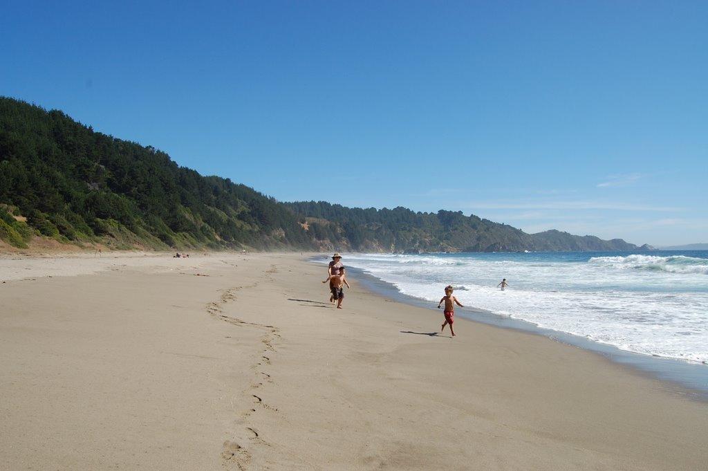 Sandee - Blanca Beach - Coliumo