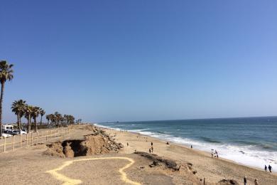 Sandee - Bolsa Chica State Beach