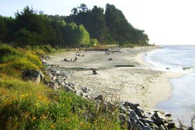 Sandee Punta De Parra Beach Photo