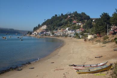 Sandee Coliumo Bay Beach