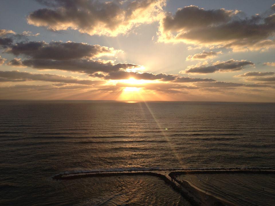 Sandee - Hilton Beach Tel-Aviv