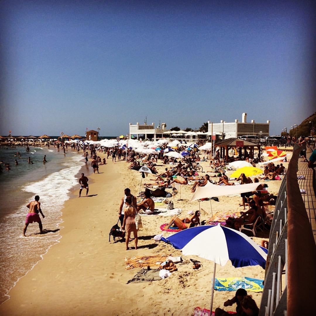 Sandee - Hilton Beach Tel-Aviv