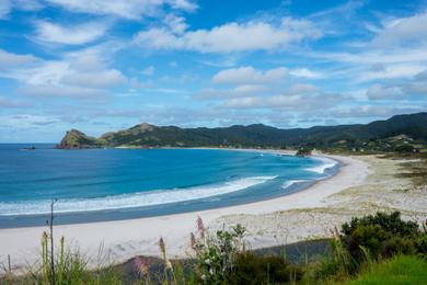 Sandee - Medlands Beach