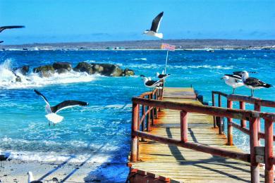 Sandee Choros Point Beach