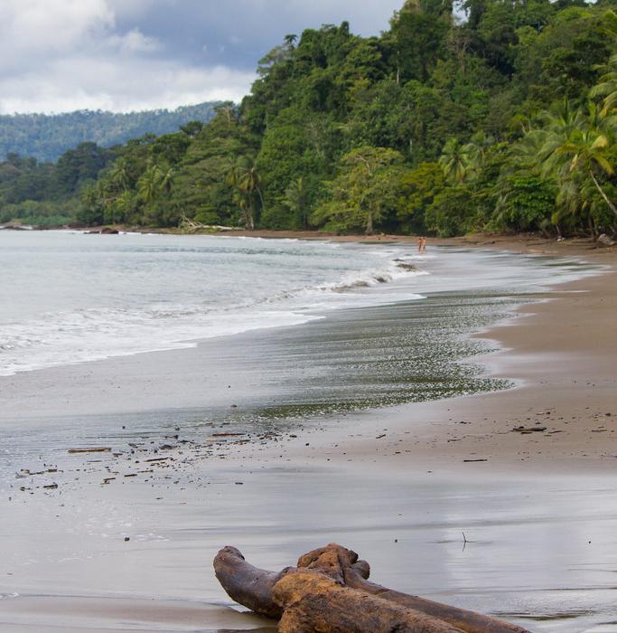 Sandee Playa Corcovado