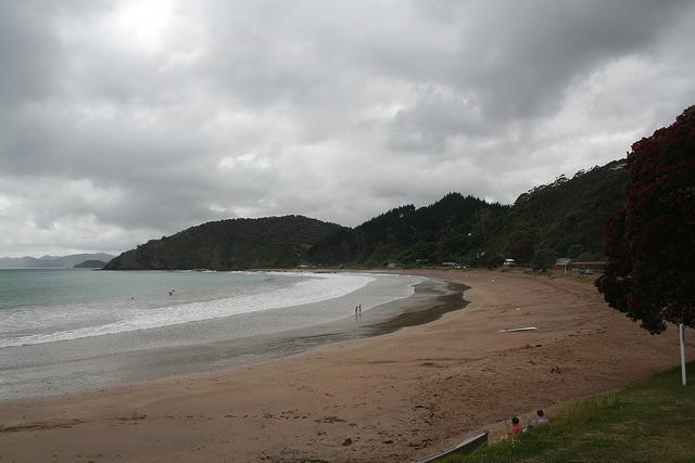 Sandee Long Bay Beach Photo