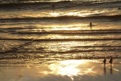 Sandee - Maori Bay Beach