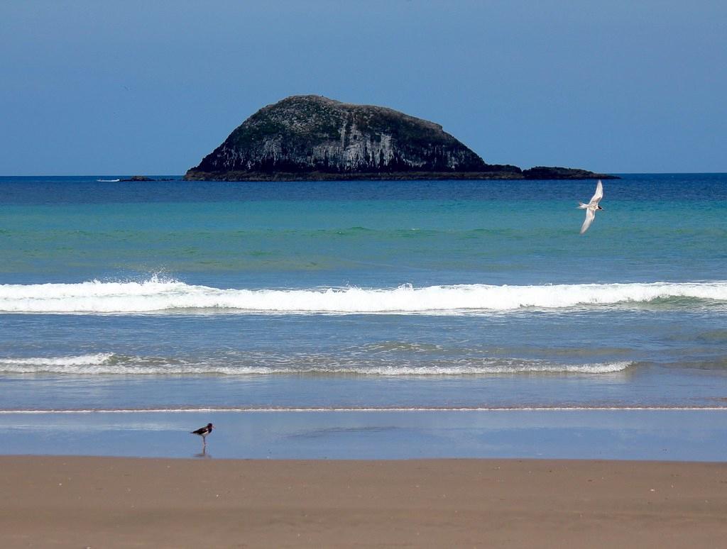 Sandee - Maori Bay Beach