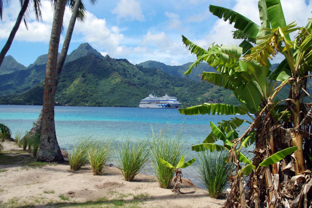 Sandee Opunohu Beach Photo