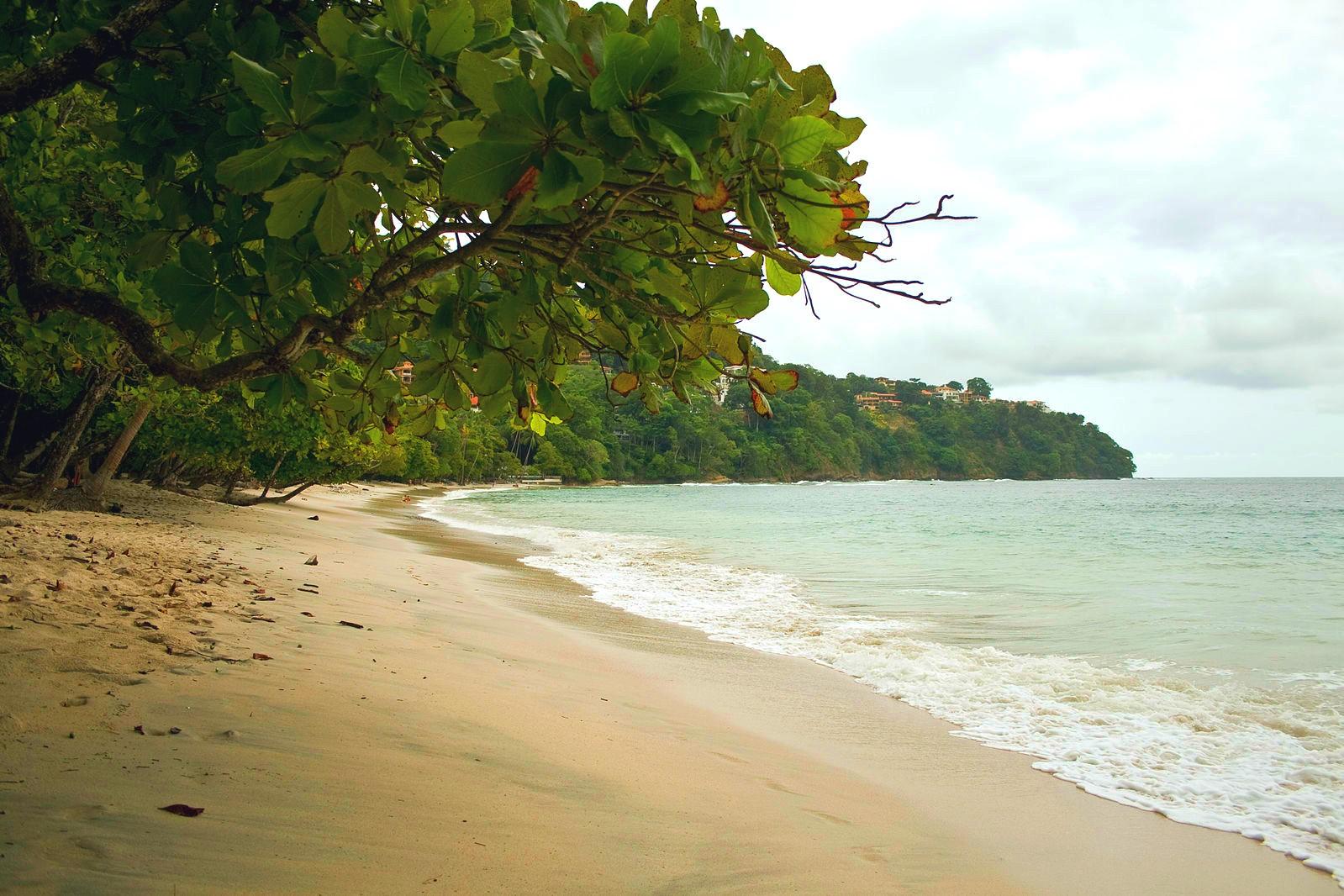 Sandee - HomePage / Puerto Jimenez