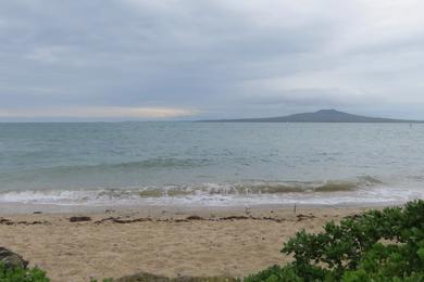 Sandee - Takapuna Beach