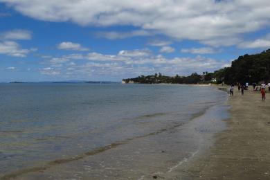 Sandee - Takapuna Beach