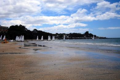 Sandee - Takapuna Beach