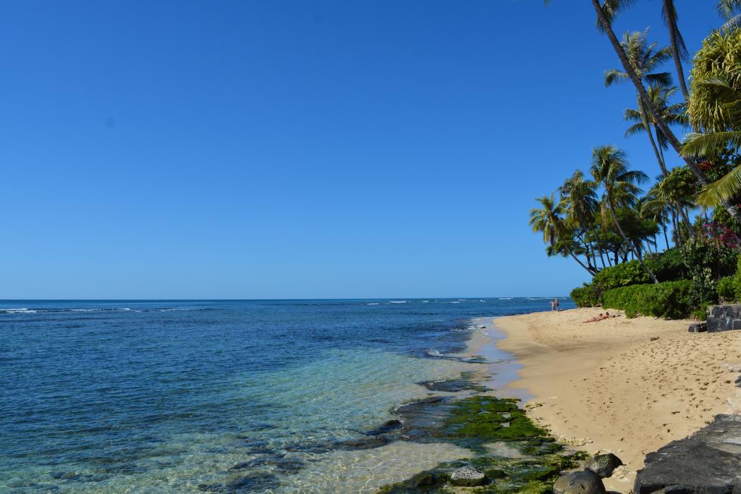 Sandee Kaalawai Beach Photo