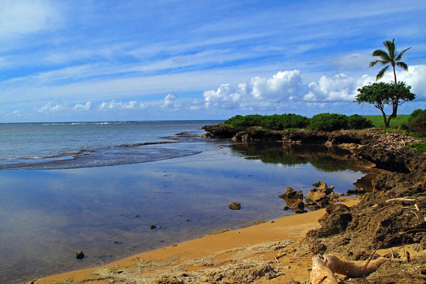 Sandee - Kaiaka Bay Beach Park