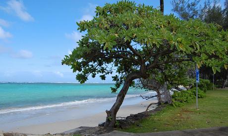 Sandee - Kaluanui Beach