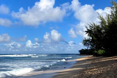 Sandee - Kaunala Beach