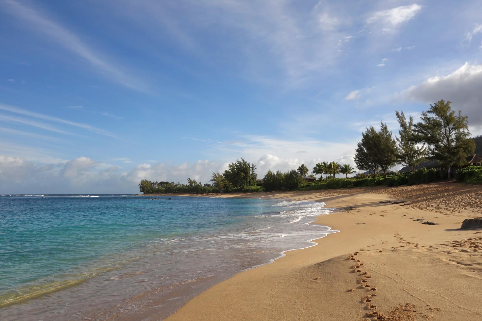 Sandee - Kaunala Beach