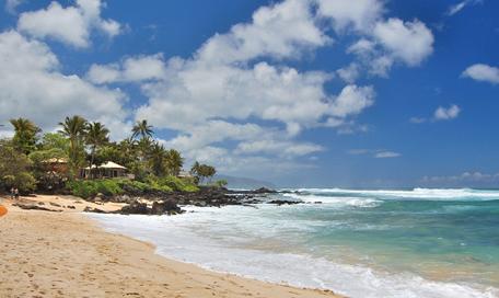 Sandee - Kawailoa Beach