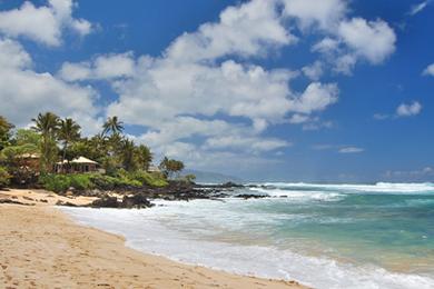 Sandee - Kawailoa Beach