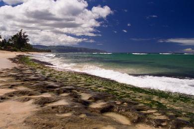 Sandee - Kawailoa Beach