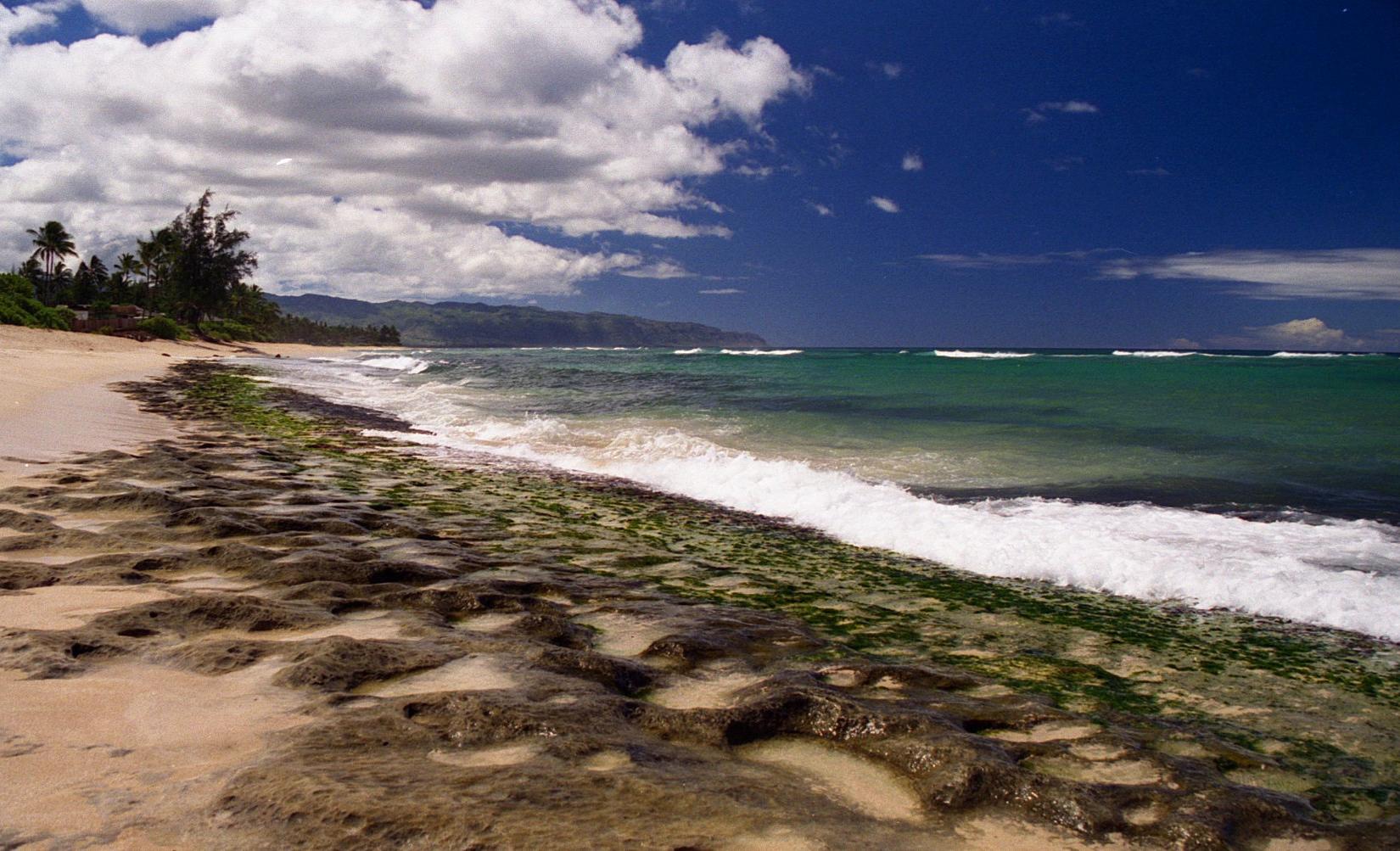 Sandee - Kawailoa Beach