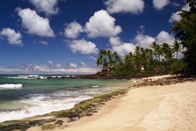 Sandee Kawailoa Beach