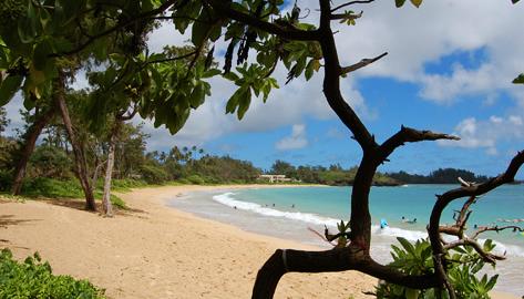 Sandee - Kokololio Beach