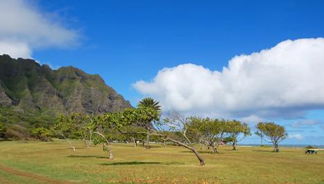 Sandee - Kualoa Regional Park