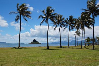 Sandee - Kualoa Regional Park