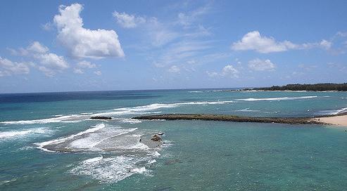 Sandee - Kuilima Cove