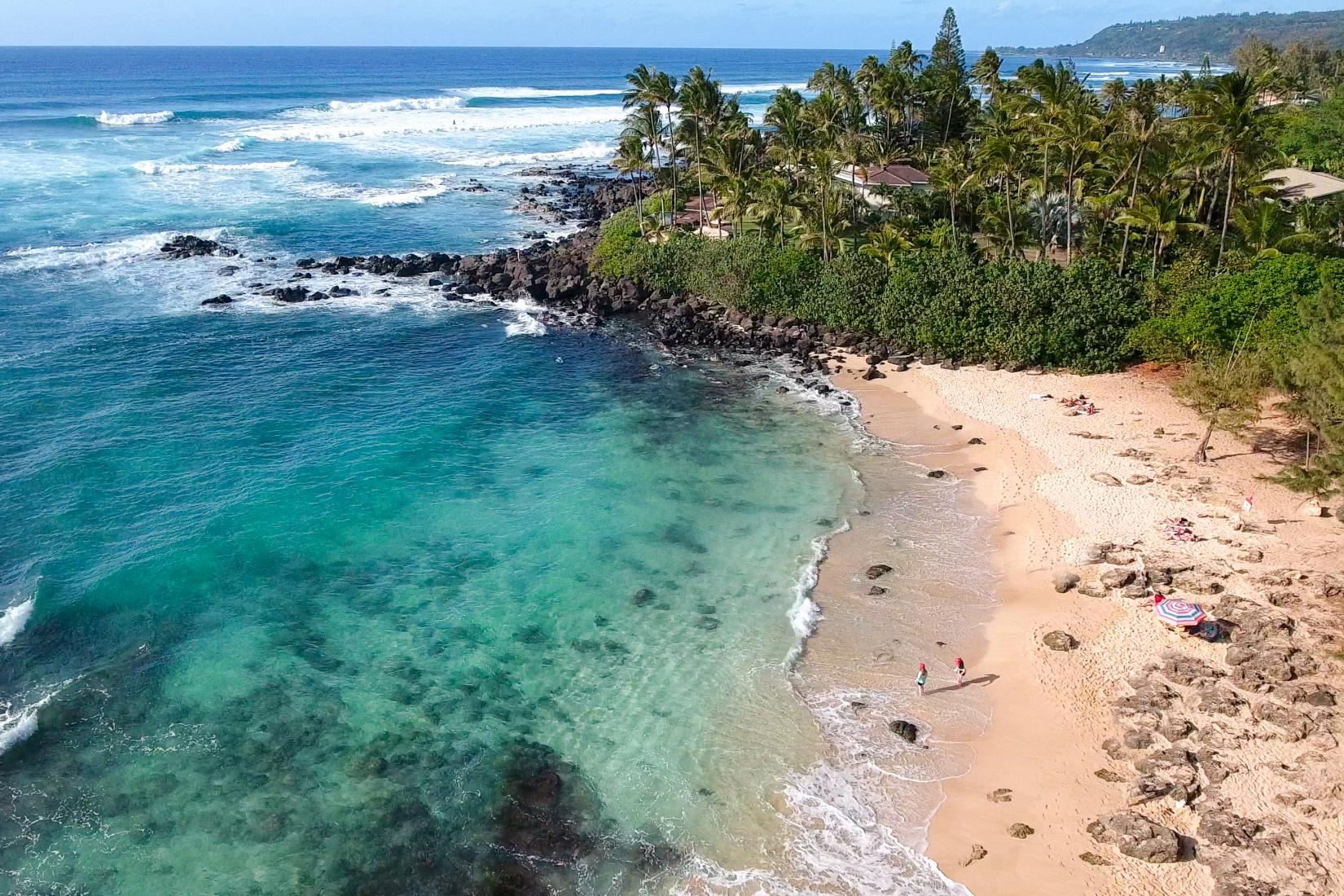 Sandee - Laniakea Beach