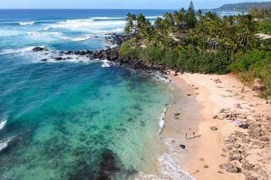 Sandee Laniakea Beach Photo