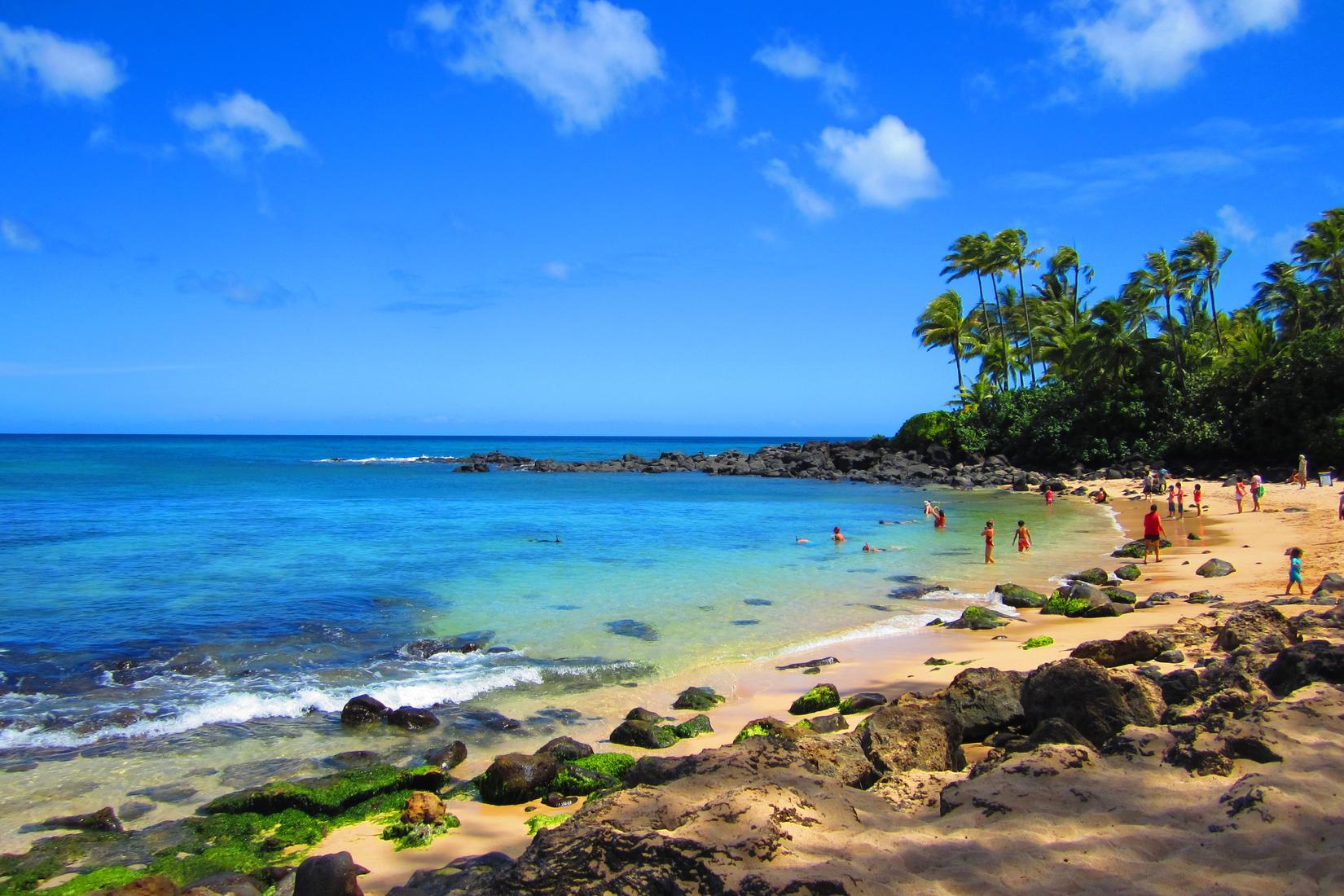 Sandee - Laniakea Beach