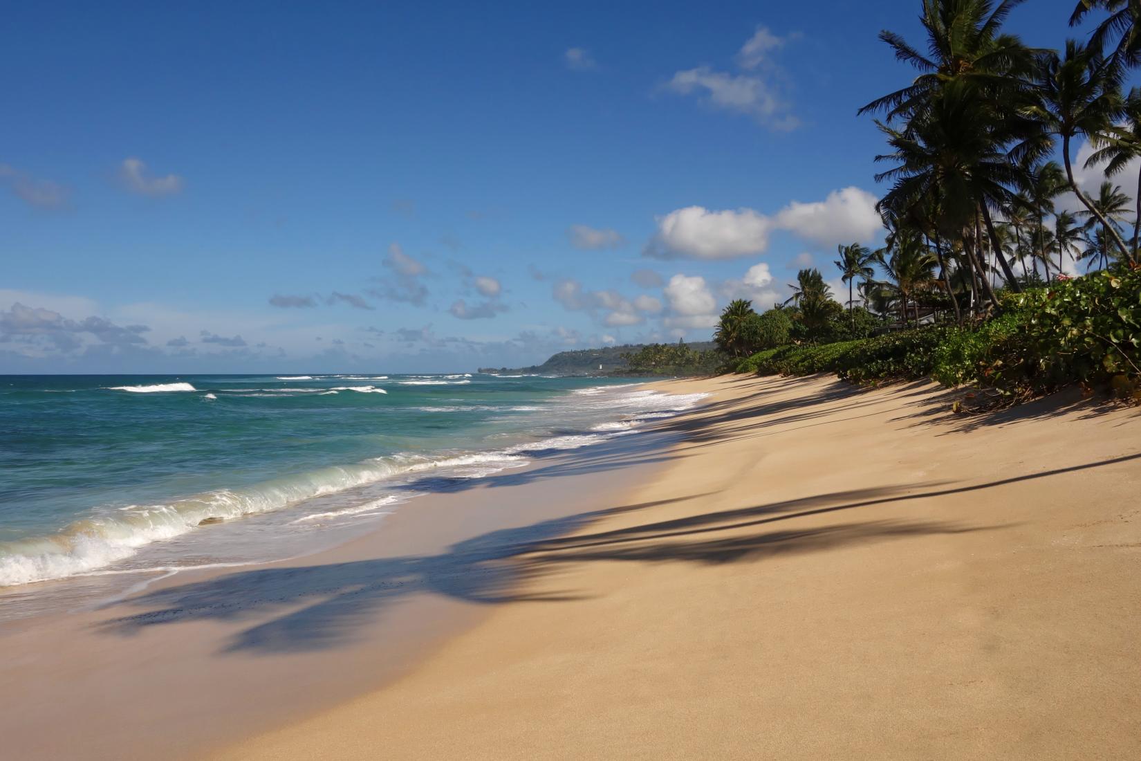 Sandee - Laniakea Beach