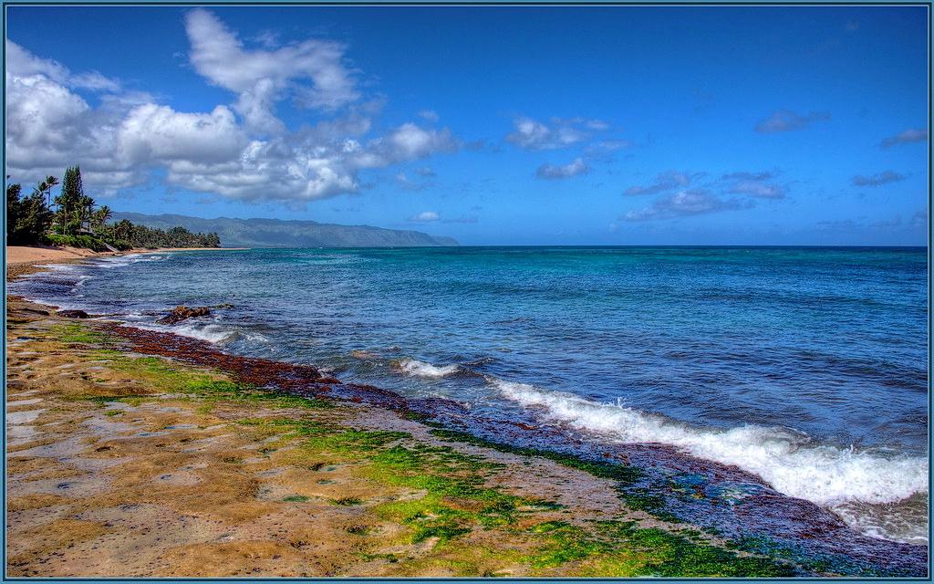 Sandee - Laniakea Beach