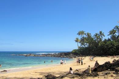 Sandee - Laniakea Beach