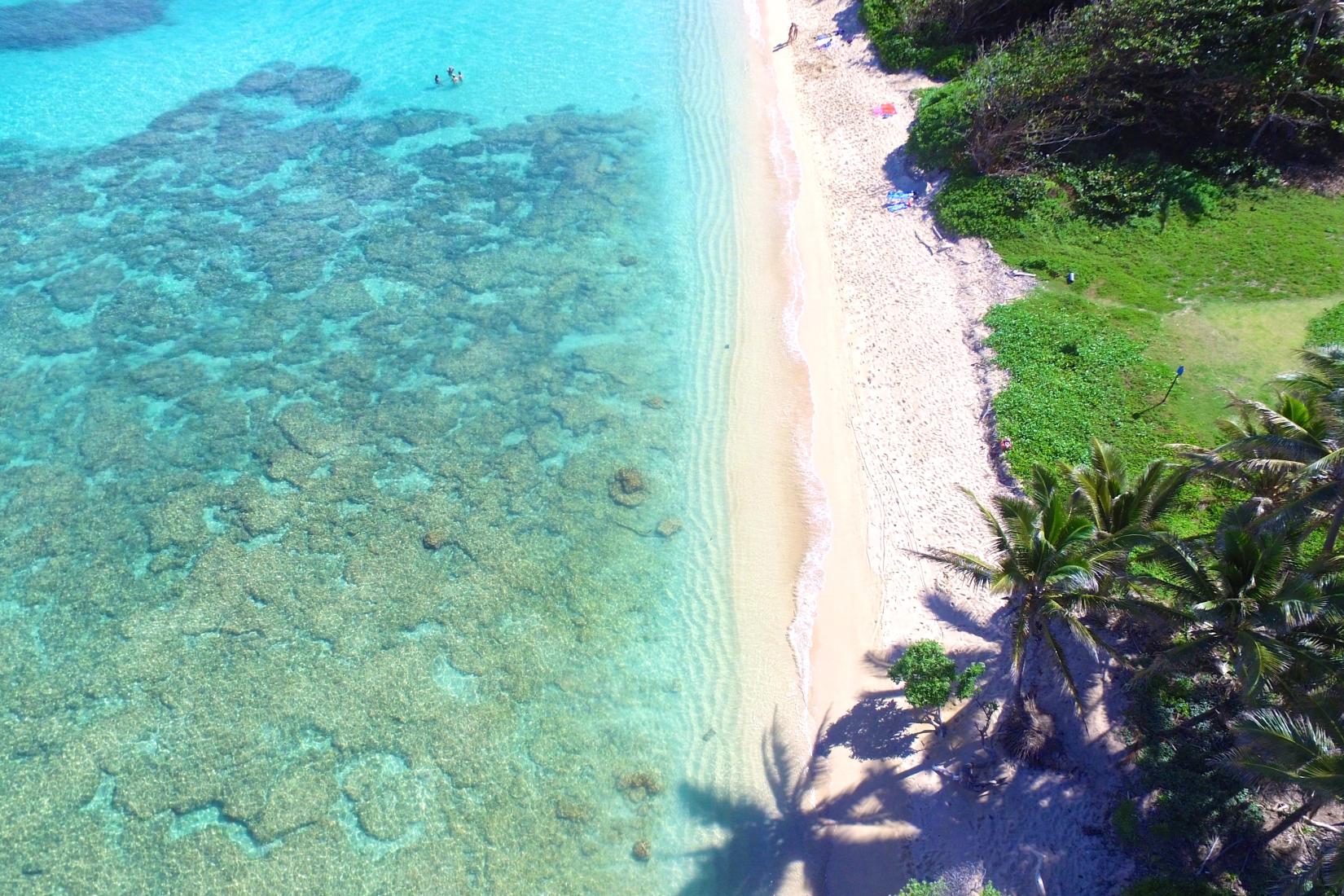 Sandee - Laniloa Beach