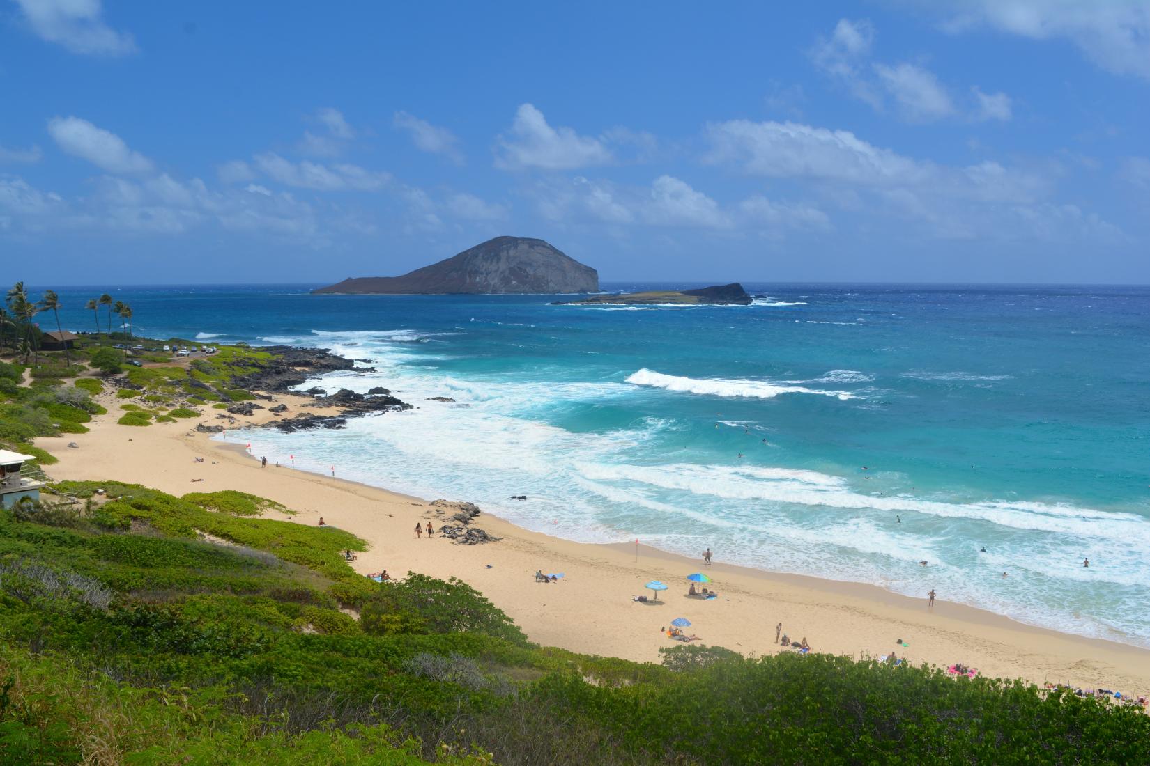 Sandee - Makapuu Beach