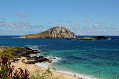 Sandee - Makapuu Beach