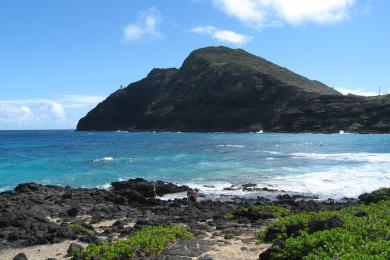 Sandee - Makapuu Beach