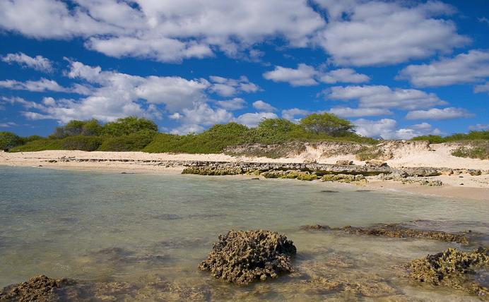 Sandee - Nimitz Beach