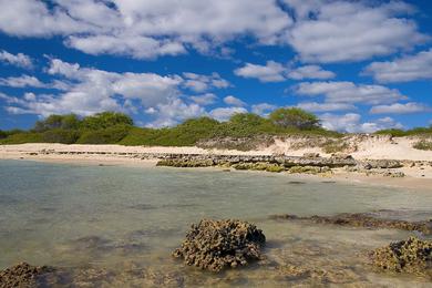 Sandee - Nimitz Beach