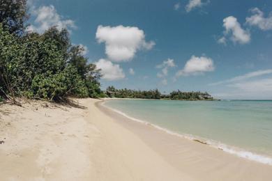 Sandee - Turtle Bay Beach