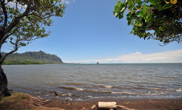 Sandee - Waiahole Beach Park