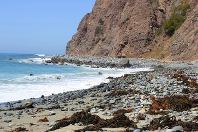 Sandee Dana Point Headlands Beach Photo