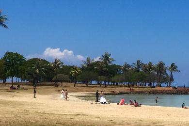 Sandee - Waikiki Beach