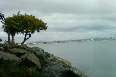 Sandee Gator Beach At Naval Amphibious Base Coronado Photo